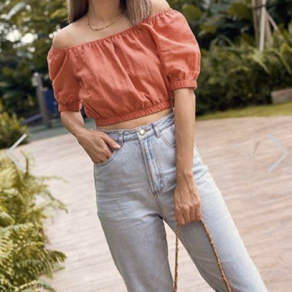 Nasty Gal Off Shoulder Crop Top Terracotta Puff Sleeve Size 4 NWOT